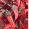 comprar guindillas de gominola picantes baratas