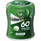 Trident Bote 60 Minutos Hierbabuena Liquida