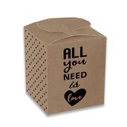 Caja All You Need Kraft