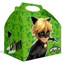 Caja Cat Noir