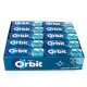 Orbit Menta Fuerte Bote