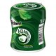 Trident Bote 60 Minutos Menta Liquida