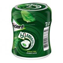 Trident Bote 60 Minutos Hierbabuena Liquida